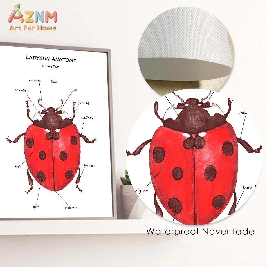 Cartoon Insect Bee Butterfly L - Kids No Education recension och pris