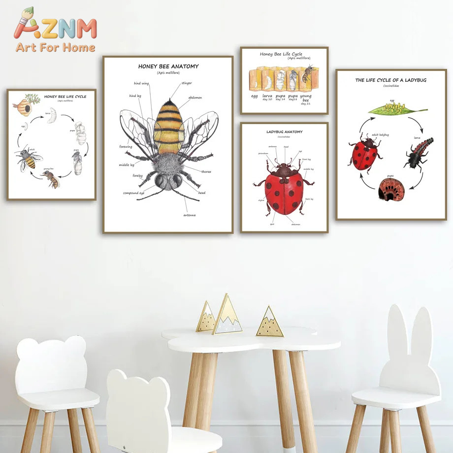 Cartoon Insect Bee Butterfly L - Kids No Education recension och pris